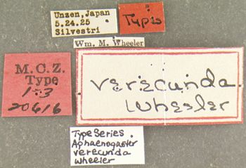 Media type: image; Entomology 20616   Aspect: labels